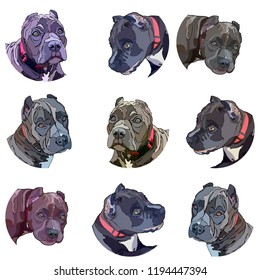 Set of stickers with pitbulls. Vector illustration, EPS 10