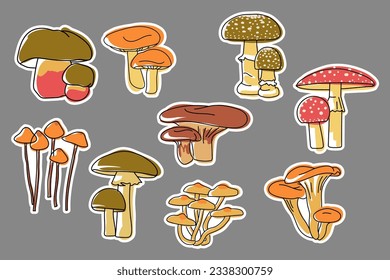 Set of stickers with poisonous mushrooms. Boletus Satanas, Russula emetica, Pholiotina smithii, Fly agaric, Amanita pantherina, jack o lantern mushroom, sulphur tuft. Collection of stickers, patches. 