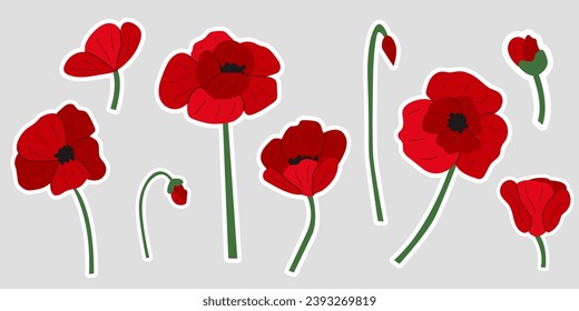 Set of stickers with poppies. Vector red poppies in various angles. Clip art. Red flower on gray isolated background. Cute botanical illustration.
