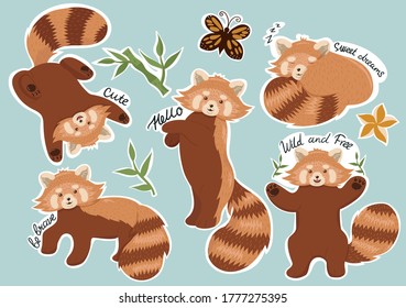 Set of stickers with red panda. Vector graphics