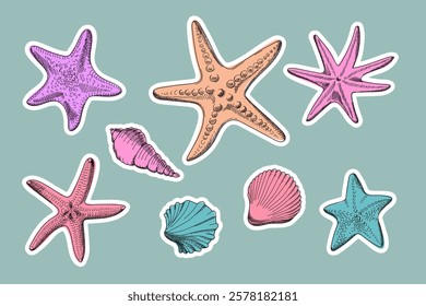 Set of stickers of seashells and starfish. Collection of sea creatures. Hand drawn sketch style. Vector illustrations isolated.