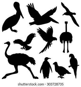 Set of the stickers with silhouettes of the birds.