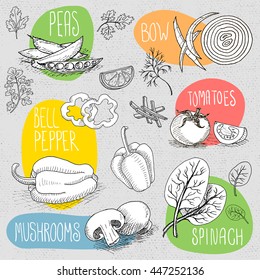 Set of stickers in sketch style, food and spices, old paper textured background. Mushrooms, bow, tomato, bell pepper, peas, spinach. Hand drawn vector illustration.