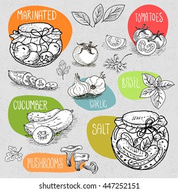 Set of stickers in sketch style, food and spices, old paper textured background. Pickles in the jar, dill, cucumber, tomato, garlic, bay leaf. Hand drawn vector illustration.