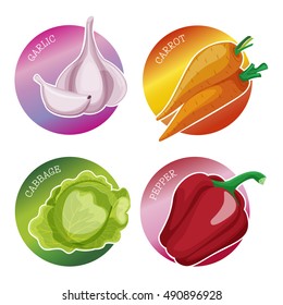 Set of stickers with vegetables: cabbage, garlic, carrot, onion