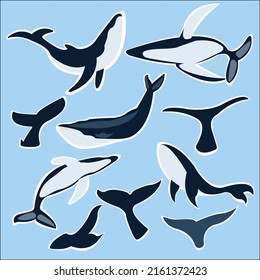 Set of stickers with whales. Silhouettes of whales and whale tail. Baby stickers. Animal stickers. Nautical stickers. Sea creatures