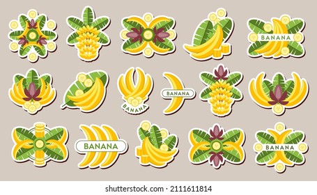 Set of stickers with with yellow bananas, banana leaves, flowers, slices. Isolated vector illustration. Good for decoration of food package