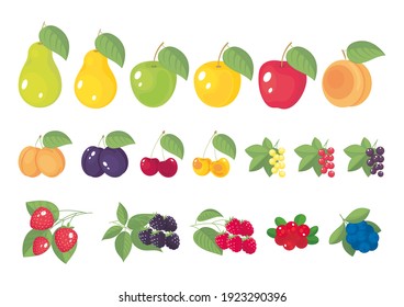Set of stilized cartoon garden fruits and berries  with leaves isolated. Vector illustration, simbol, icon, logo, stickers, design elements for label, packaging