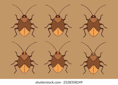 A set of Sting Bugs