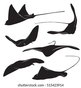 Set of stingray silhouette and icons in simple style. vector illustration.