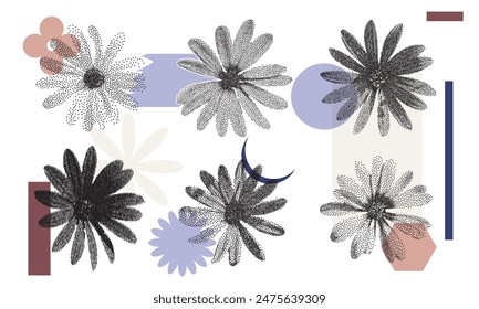 Set of stipple effect Osteospermum flower collection with Geometric Shapes