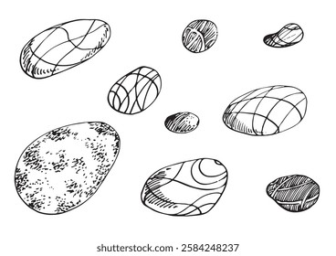 Set of stones. Vector graphic style in ink.
Marine theme for posters, aquariums, prints, cards, decoration of restaurants.