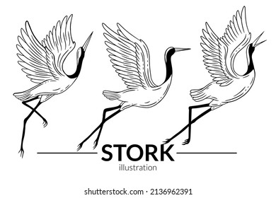 Set Stork Bird Flying Tropical cartoon Wild birds cranes Hand Drawn