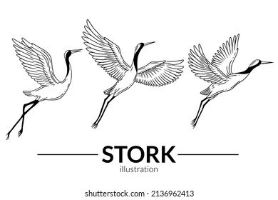 Set Stork Bird Flying Tropical cartoon Wild birds cranes Hand Drawn