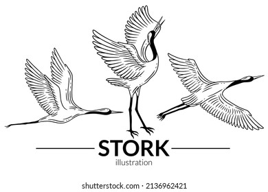 Set Stork Bird Flying Tropical cartoon Wild birds cranes Hand Drawn