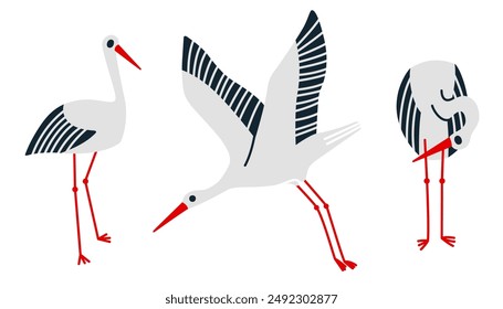 Storchensatz. Vektorgrafik. Vögel. Illustration