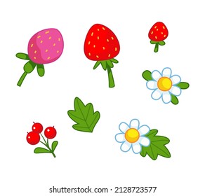 Set of strawberries, berries and chamomile. Vector illustration in cute cartoon childish style. Isolated funny clipart on white background. Lovely floral print.
