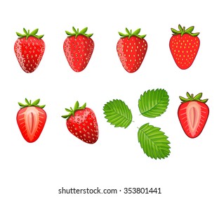 Set of strawberries. Different styles of strawberries illustrations. Can be used in your own design, illustration, appearance and etc.