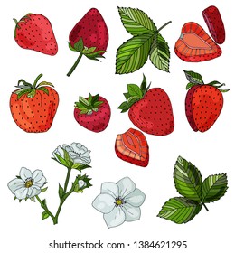 Set of strawberries, flowers and leaves. Isolated elements on white background. Summer design.