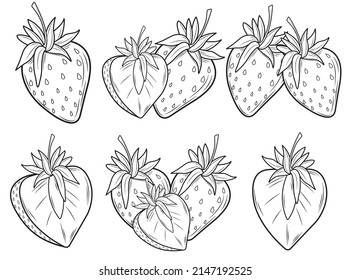 Set of strawberries in isolate on a white background. Sweet berry.Vector illustration.
