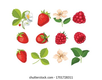 Set of strawberries and raspberries with leaves and flowers