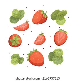Set of strawberries, summer set of vector strawberries, vector strawberries. Fresh garden berries , organic vegan products, juicy strawberries vector