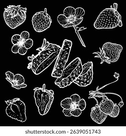 Set of strawberries with their flowers. Vector hand drawn line art of summer fruit in white isolated on black background. Highly detailed for print and online projects.