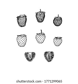 Set of strawberries, whole and cut, vector illustration, hand drawing