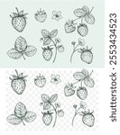 Set of strawberry berries, hand drawn sketches, vector illustration, transparent background