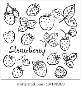 Set with Strawberry, berries, leaves. Graphic hand drawn engraving style. Doodle illustration for packaging, menu cards, posters, prints. Isolated over white background.