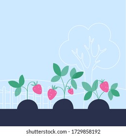 Set of strawberry bushes. Flat vector illustration on blue background. Gardening and healthy food concept for poster, banner.