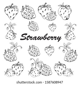 Set strawberry drawing. Strawberry on a white background. Vector illustration
