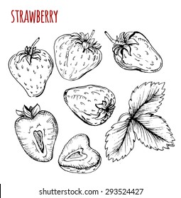 Set Strawberry Drawing. Strawberry On A White Background. Vector Illustration