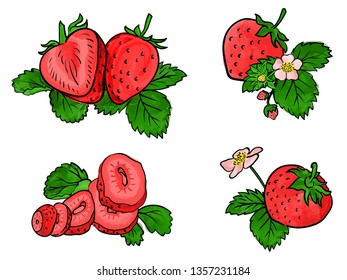 Set of strawberry fruit isolated on white. Different type of pieces.  Vector watercolor. 