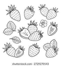 set of strawberry isolated on white background. Sketch of strawberry. Berry for menu, label, recipe, farm product packaging. Vector illustration