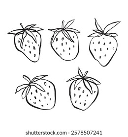 set of strawberry line art vector illustration hand drawn doodles with leaves 