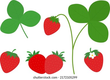 Set strawberry slices vector illustration