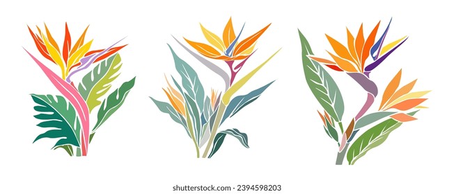 Set of Strelitzia, Bird of Paradise flower vector.