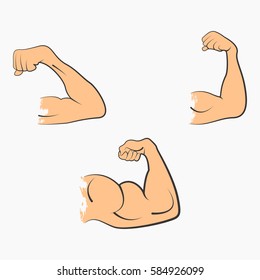 Set strong power muscle arms the stages of pumping biceps vector icon in color