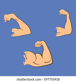 Set strong power muscle arms the stages of pumping biceps vector icon in color