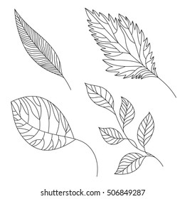 Set of structural linen leaves; vector