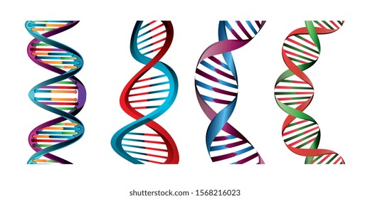 Set Structures Deoxyribonucleic Acid Vector Illustration Vector De Stock Libre De Regalías 6268