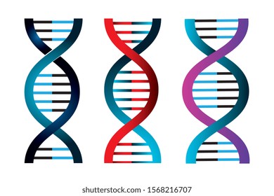 set of structures deoxyribonucleic acid vector illustration design