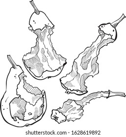 Set of stubs of pear on white background isolate
