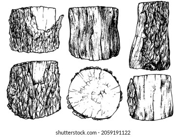 a set of stumps in the sketch style. Black outline of isolated wooden parts, elements hand-drawn cross-sawn tree trunk with bark texture, side and top view on a white background for your design 