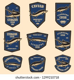 Set of sturgeon caviar labels. Design element for logo, label, emblem, sign. Vector illustration.