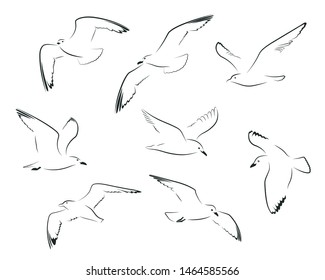 Set of stylised black flying birds silhouettes on white background. Monochrome template for printing, logo, tattoo, sports and travel design. Vector flat black and white icons set.