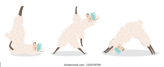 Set of stylish cartoon llamas in various poses of yoga. Vector illustrations isolated on white background.