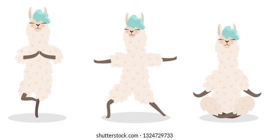 Set of stylish cartoon llamas in various poses of yoga. Vector illustrations isolated on white background.