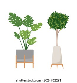 A set of stylish fashionable indoor plants for the house. Isolated on a white background. Dracaena, monstera, boxwood, spatifilum, ficus benjamin, pineapple, zamiokulkas. Color flat vector